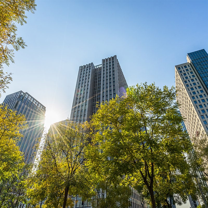 Defining your electric future