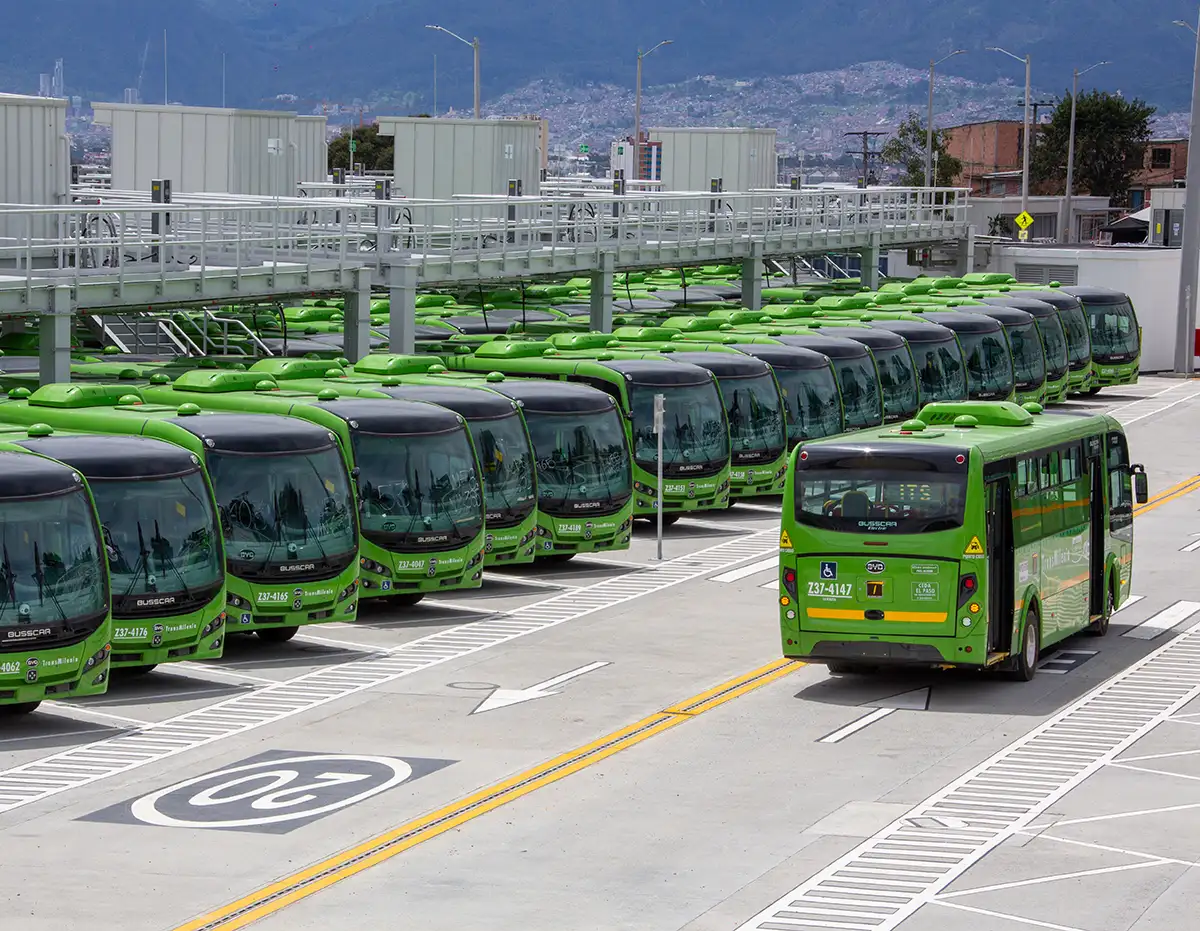 Parked buses